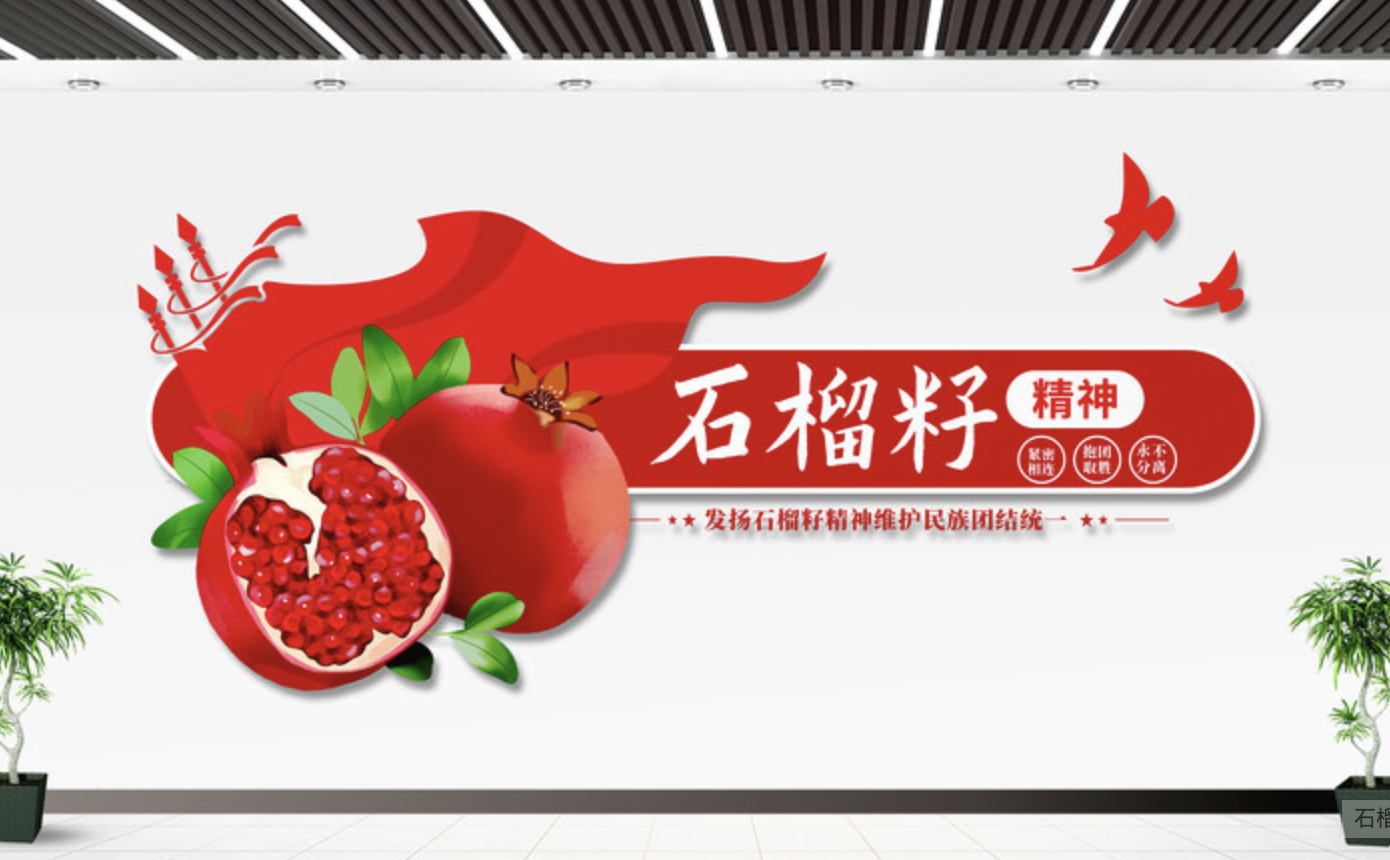 石榴籽精神民族團(tuán)結(jié)黨建標(biāo)語(yǔ)文化墻(圖2) 石榴籽精神文化墻